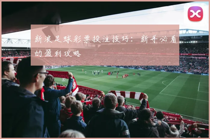 新浪足球彩票投注技巧：新手必看的盈利攻略