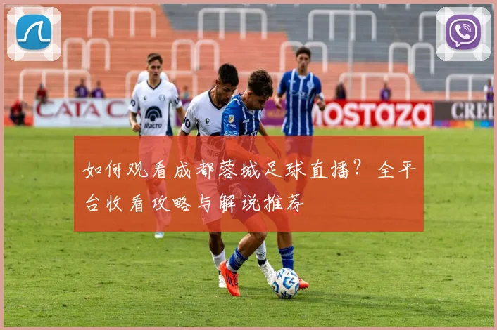 如何观看成都蓉城足球直播？全平台收看攻略与解说推荐