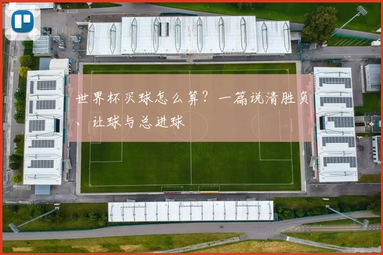 世界杯买球怎么算？一篇说清胜负、让球与总进球
