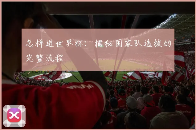 怎样进世界杯：揭秘国家队选拔的完整流程