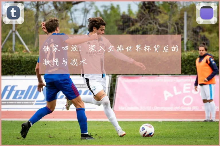 独家回放：深入女排世界杯背后的激情与战术