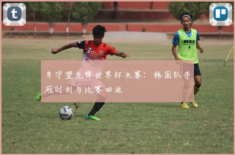 年守望先锋世界杯决赛：韩国队夺冠时刻与比赛回放